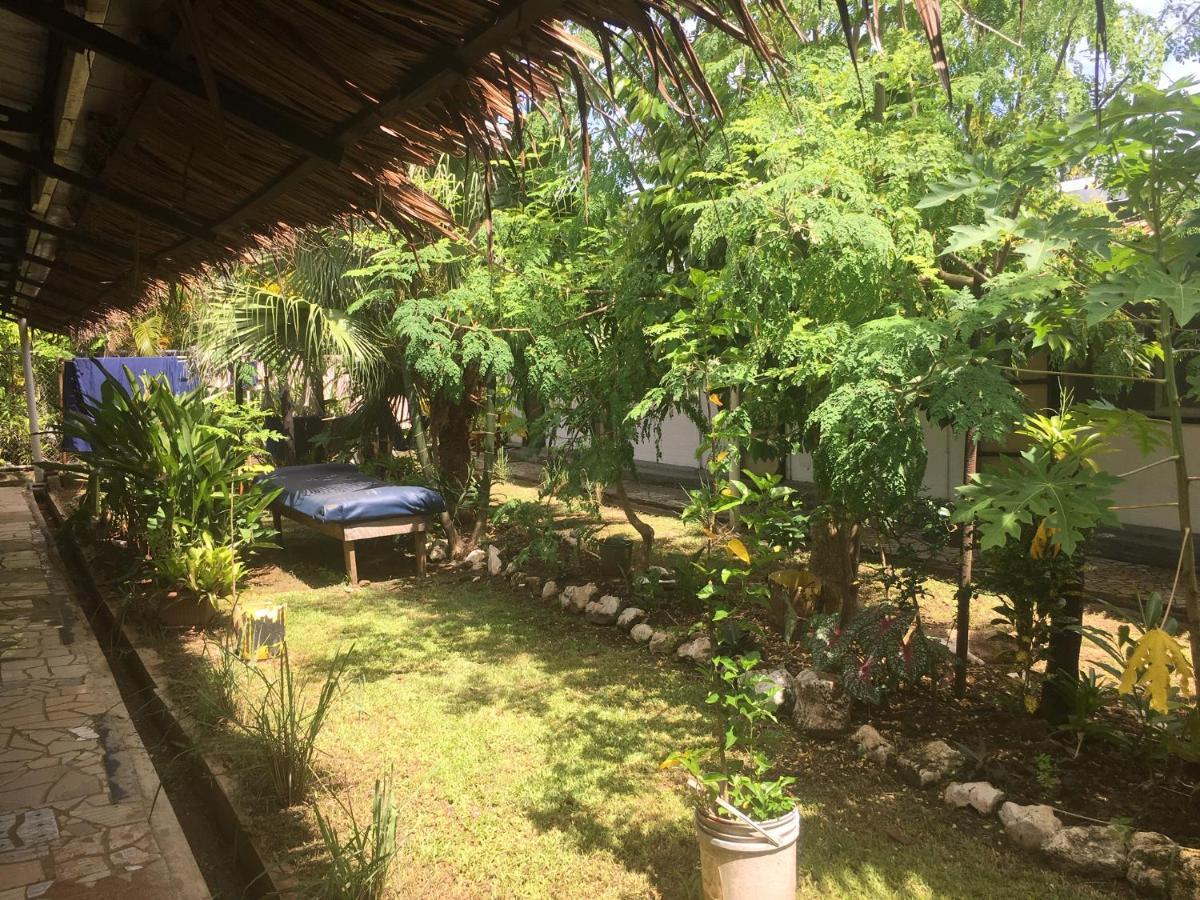 Olivias Accommodation Apia Ngoại thất bức ảnh